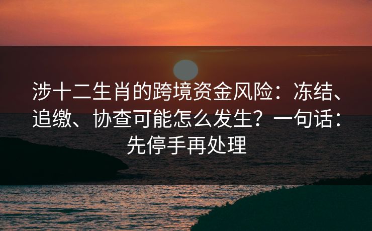 涉十二生肖的跨境资金风险：冻结、追缴、协查可能怎么发生？一句话：先停手再处理